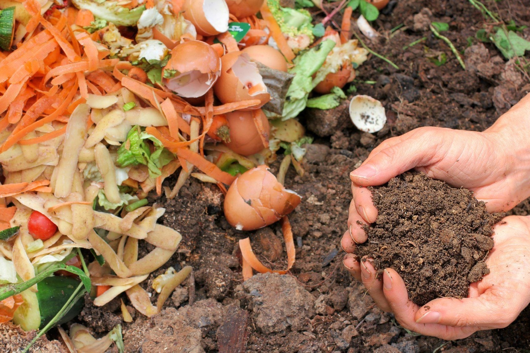 compost-pile-e1519732078727